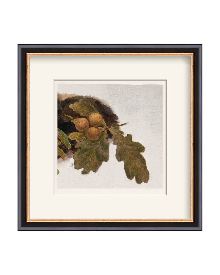 Framed - Traditional Black and Gold - Warm White Mat / 11.88 x 12 / Rag
