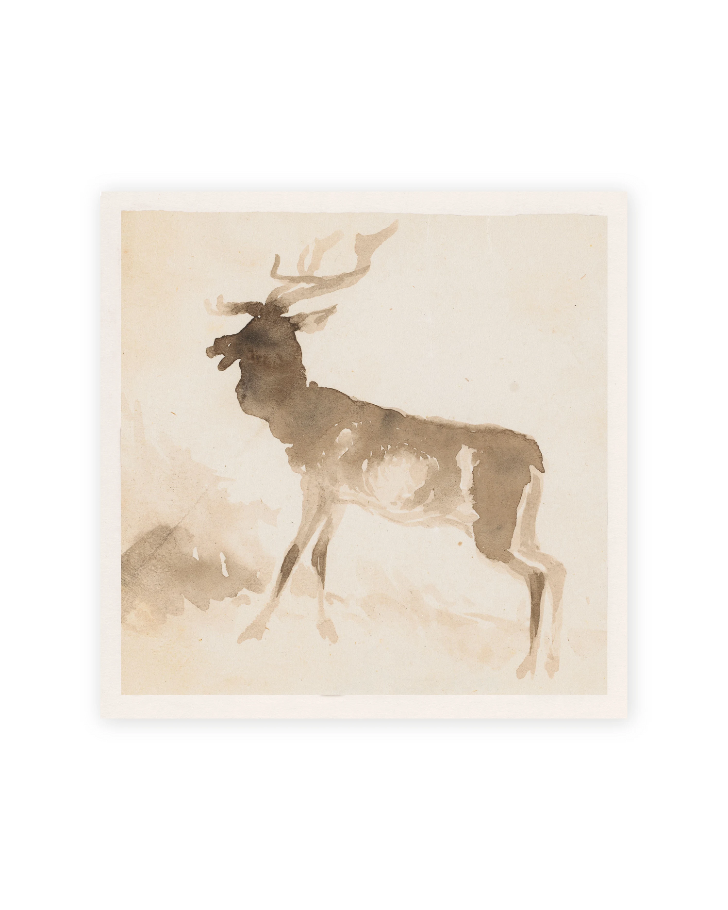 Unframed Smooth Print / 8 x 8