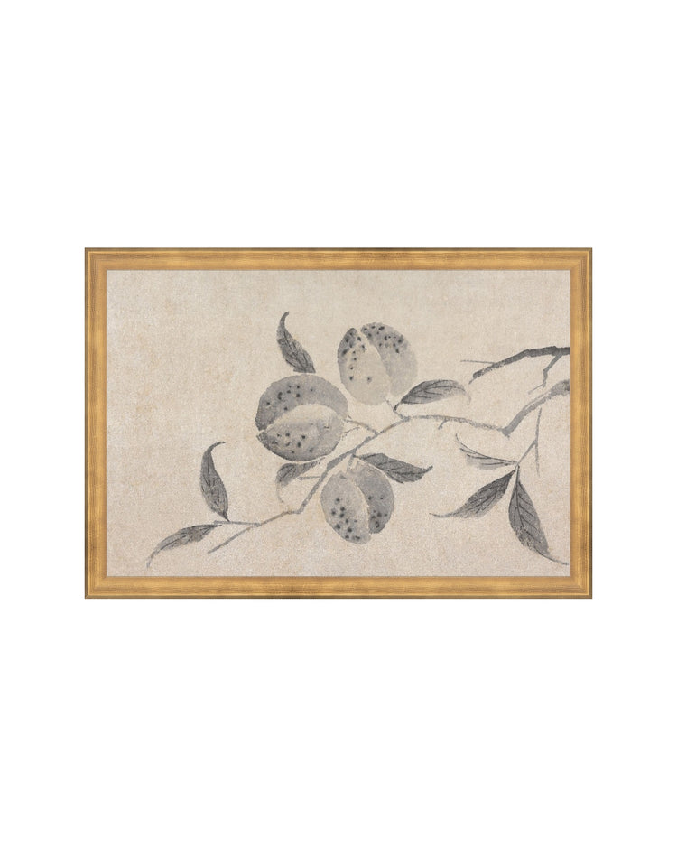 Shadowed Blooms 8