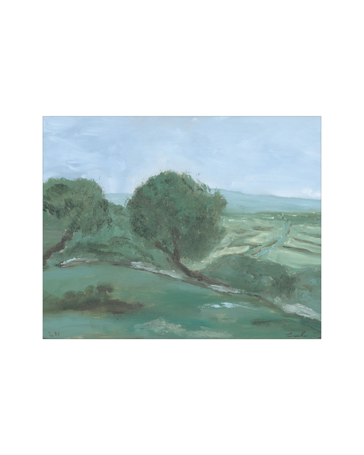 Olives Field Study