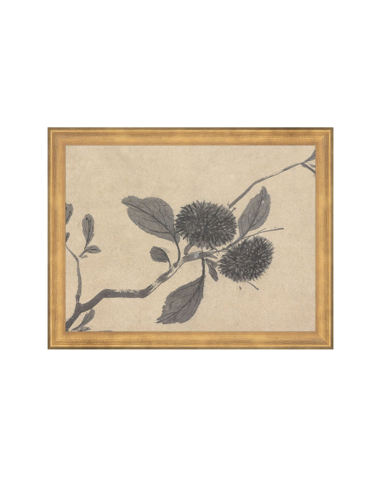 Shadowed Blooms 3