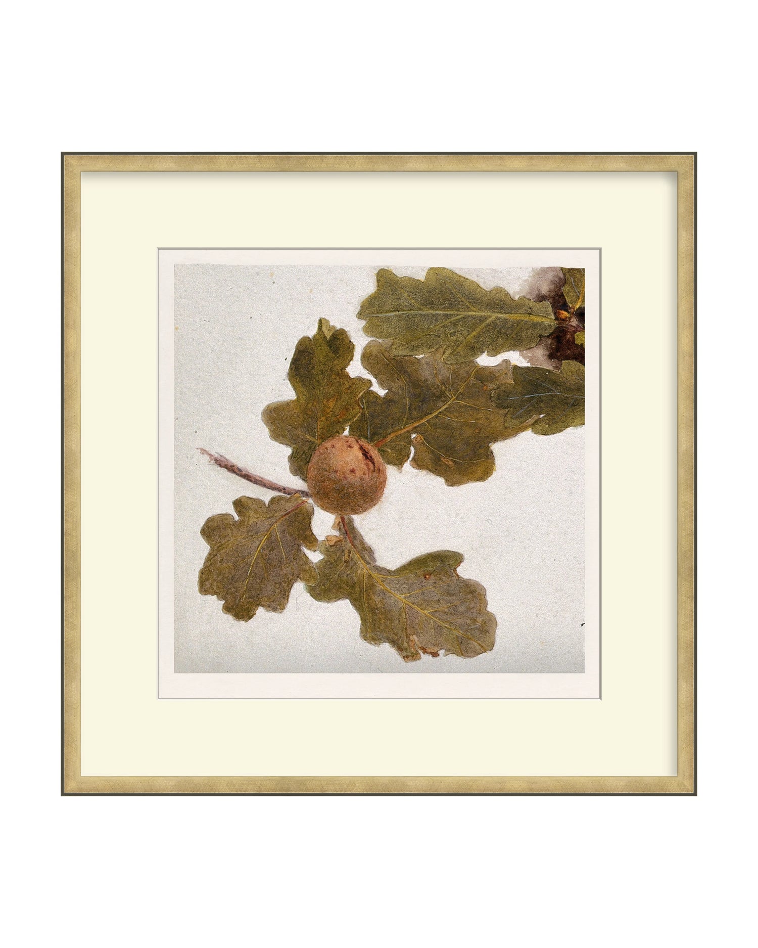 Framed - Atelier Brass - Off-White Mat / 21.25 x 21.5 / Rag
