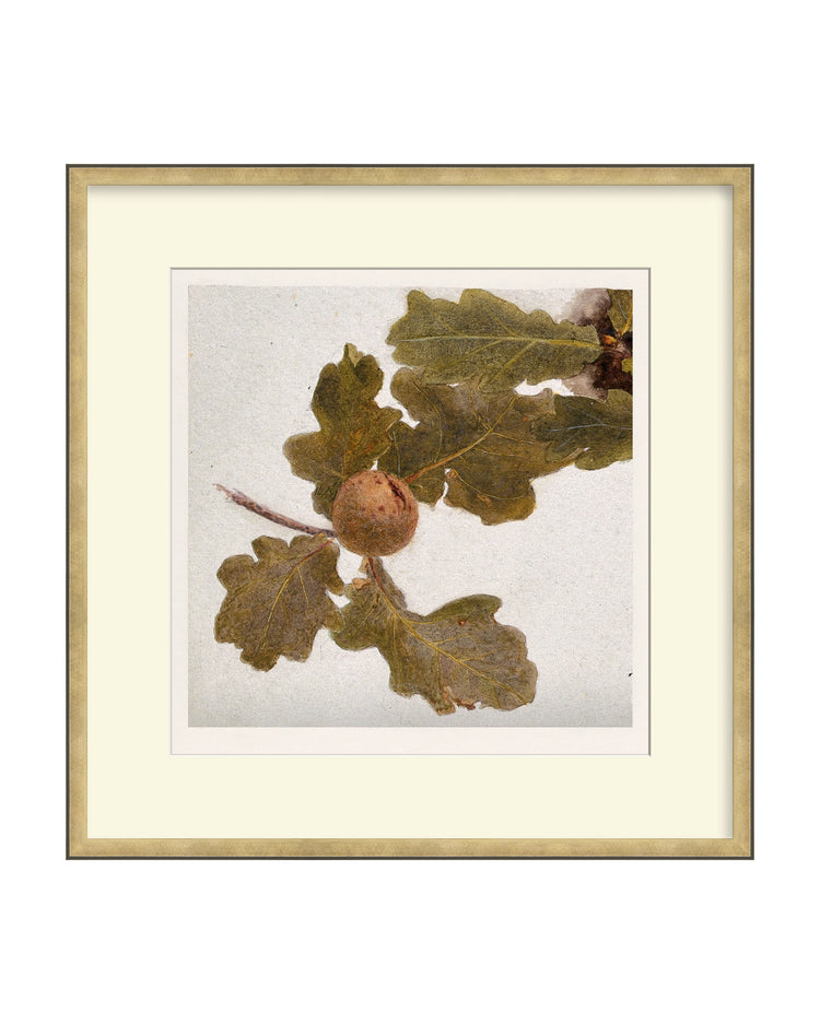 Framed - Atelier Brass - Off-White Mat / 21.25 x 21.5 / Rag