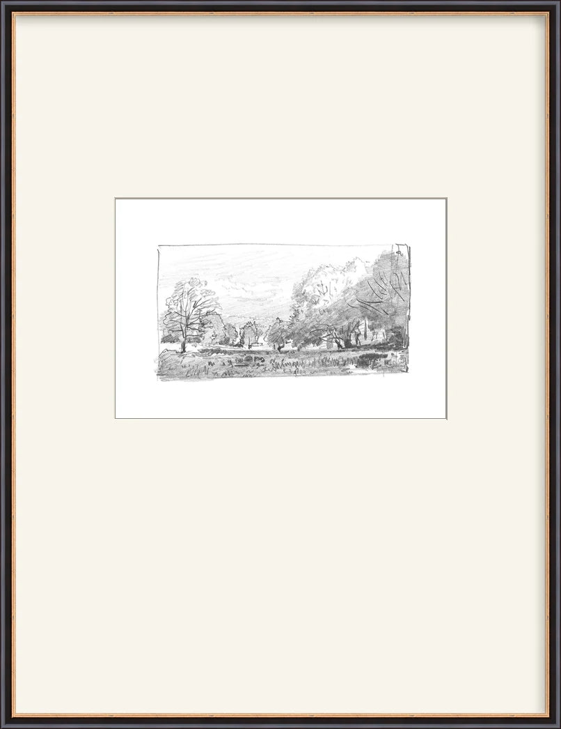 Charcoal Trees 1 - Custom Framed Print with Mat
