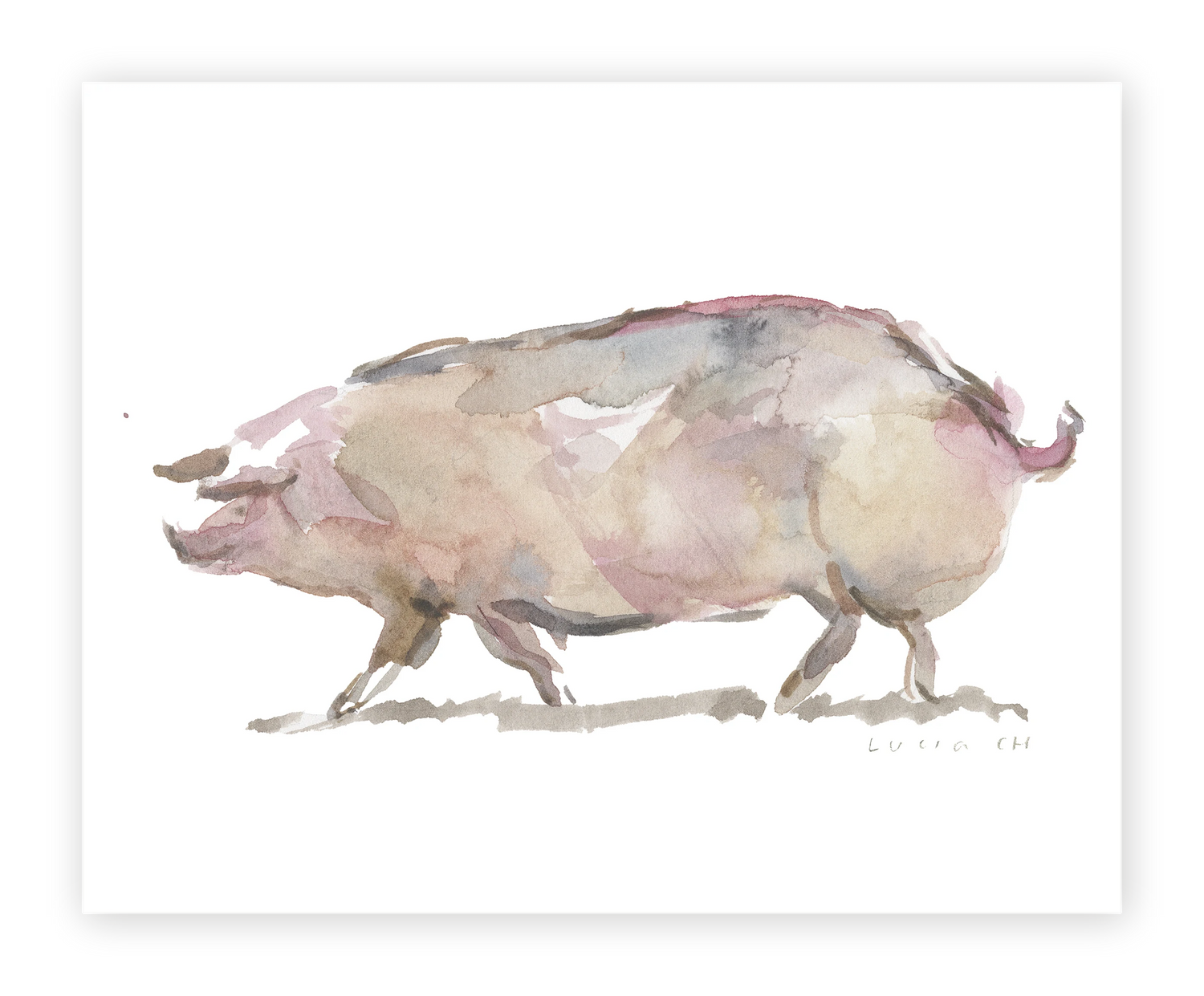 Unframed Smooth Print / 10 x 8