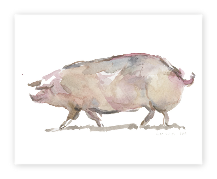 Unframed Smooth Print / 10 x 8