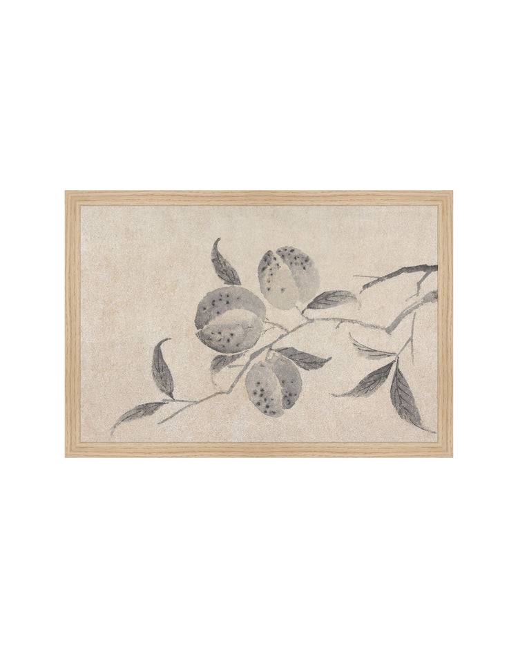 Shadowed Blooms 8