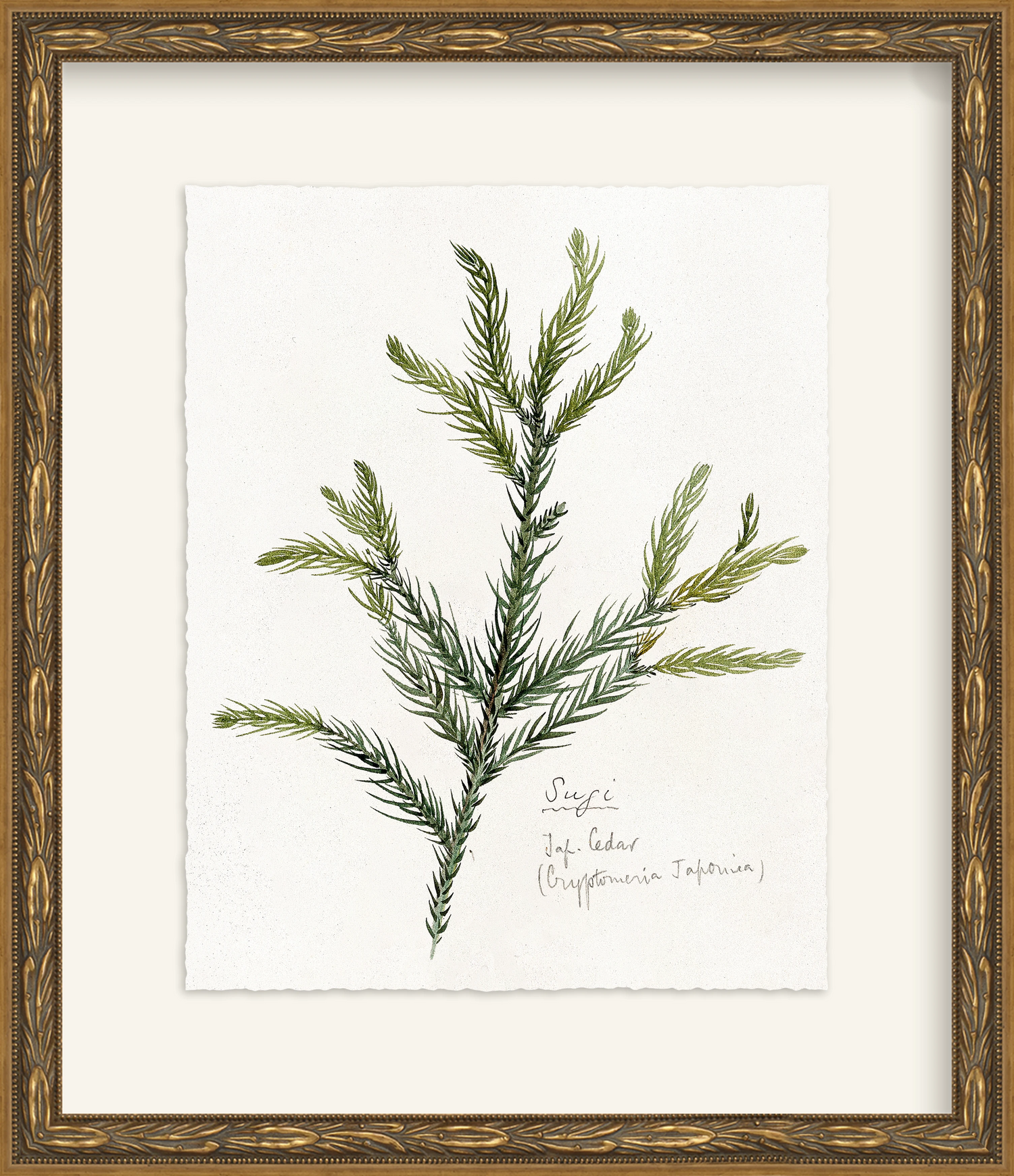 Framed - Laurel Gold - Rag - Warm White Mat / 12.5 x 14.5