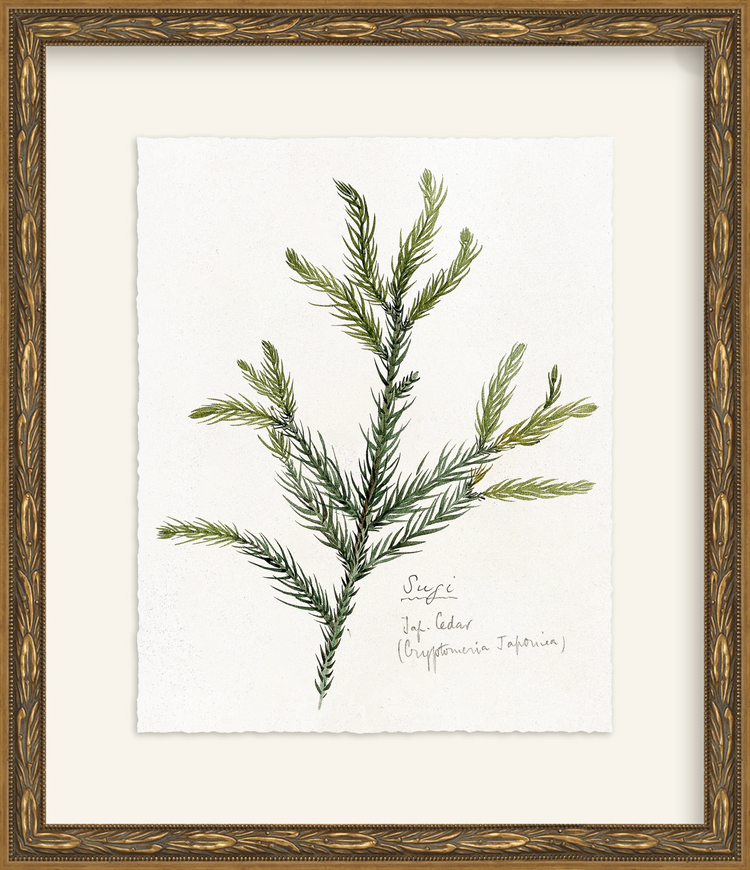Framed - Laurel Gold - Rag - Warm White Mat / 12.5 x 14.5
