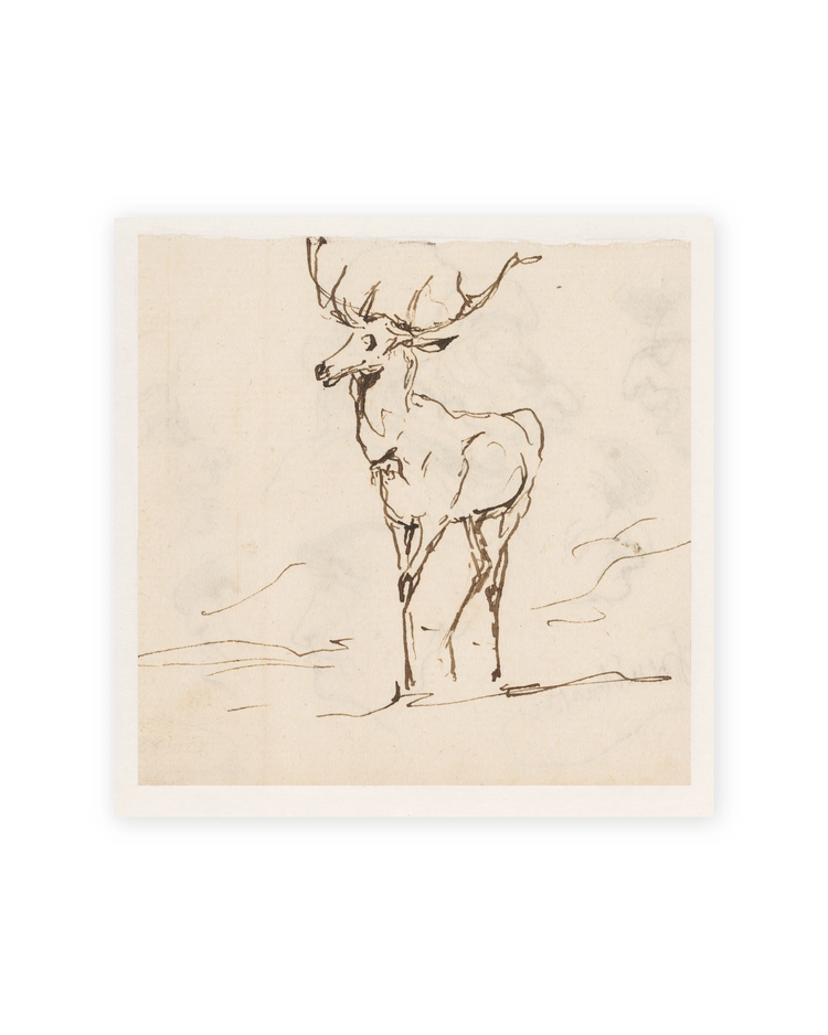 Unframed / 8 x 8 / Rag