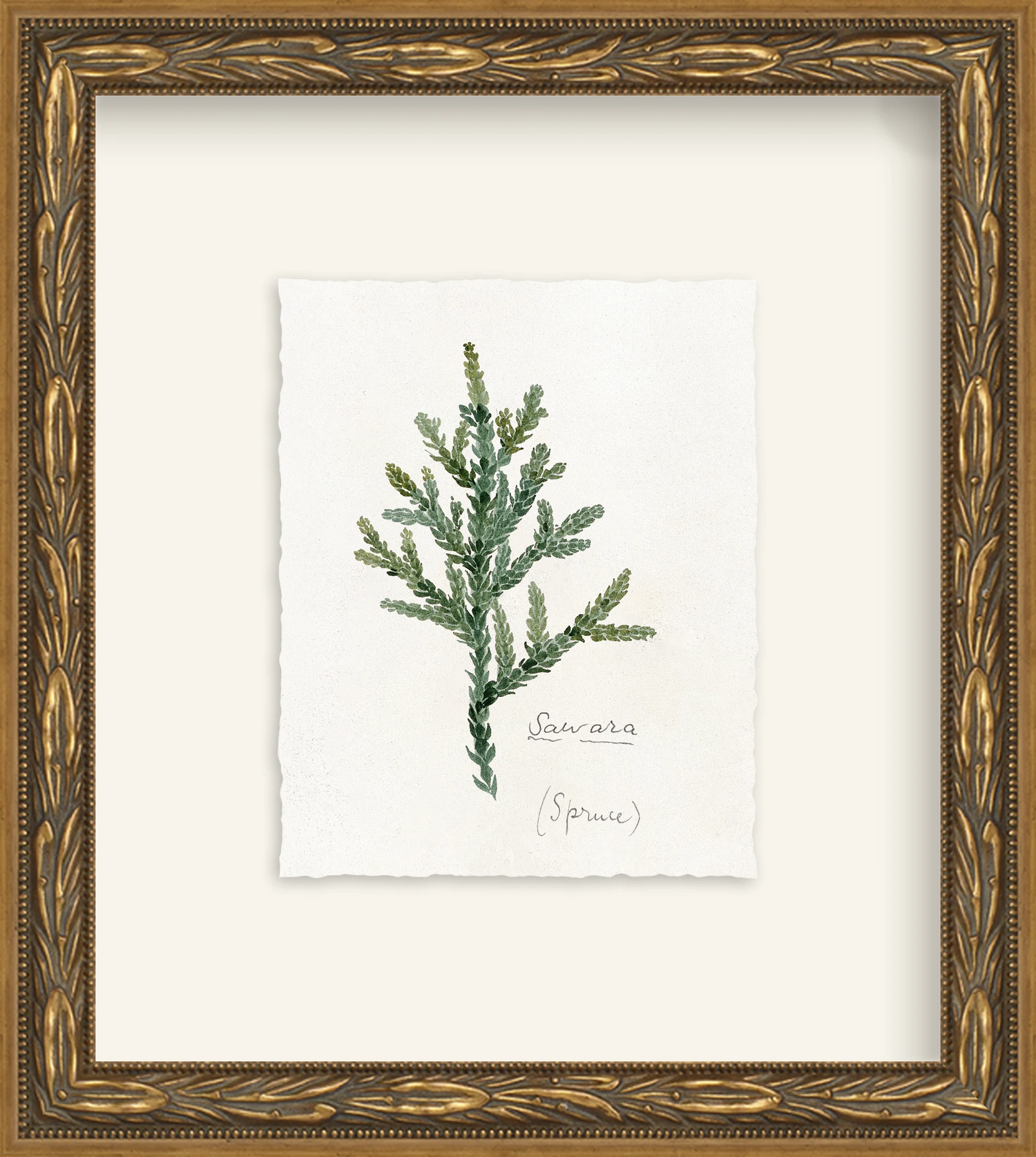 Framed - Laurel Gold - Rag - Warm White Mat / 8.5 x 9.5