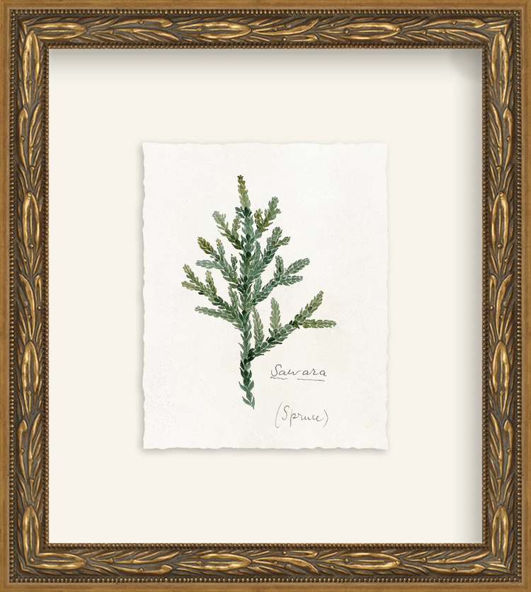 Framed - Laurel Gold - Rag - Warm White Mat / 8.5 x 9.5