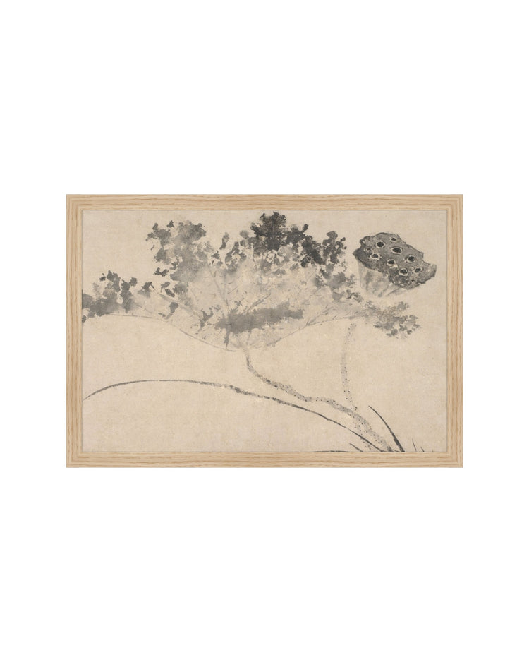 Shadowed Blooms 9