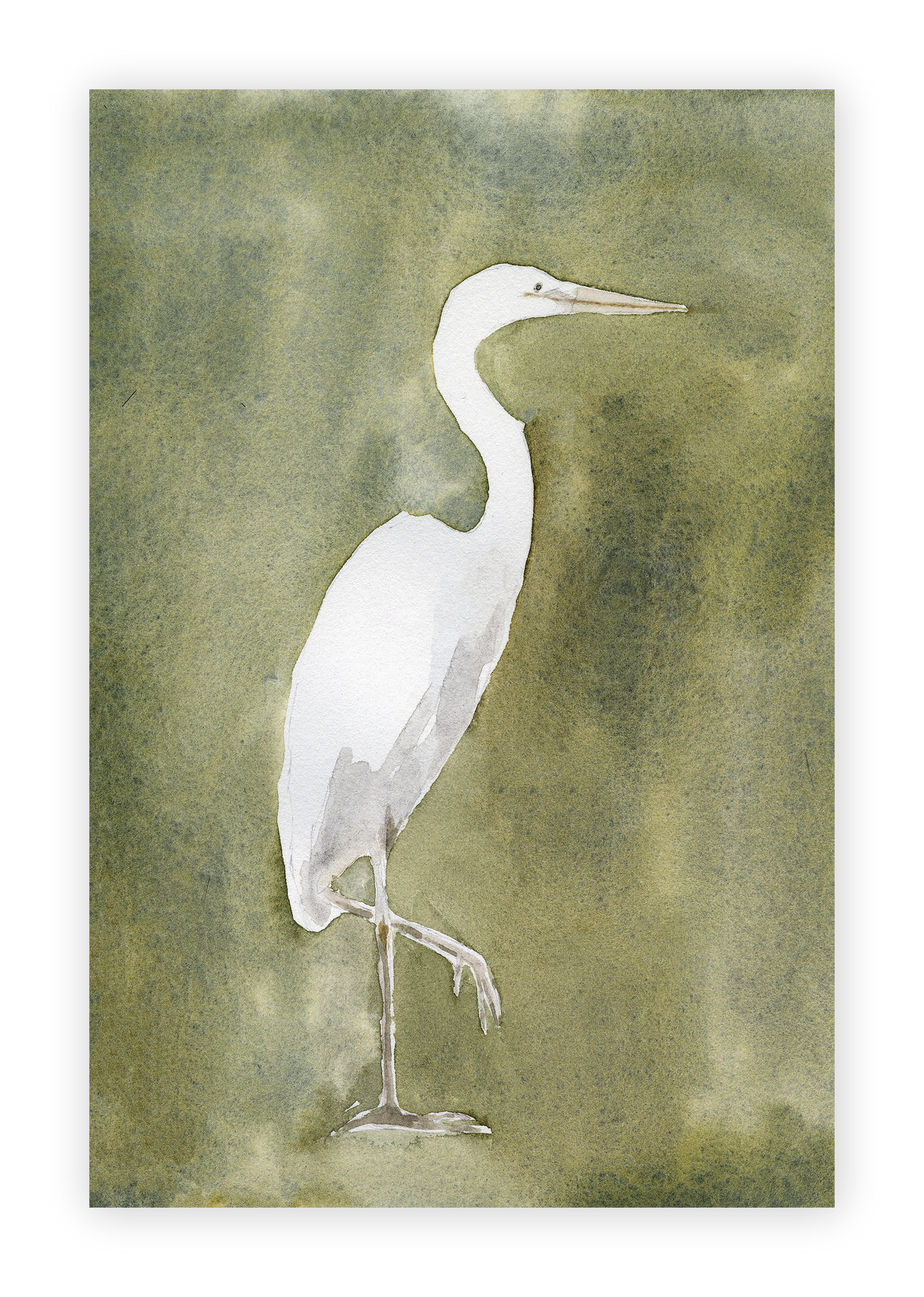 Unframed Smooth Print / 12 x 18