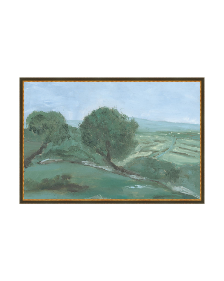 Olives Field Study