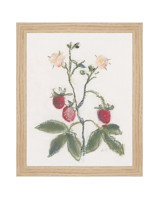 Strawberry Branch HoJ