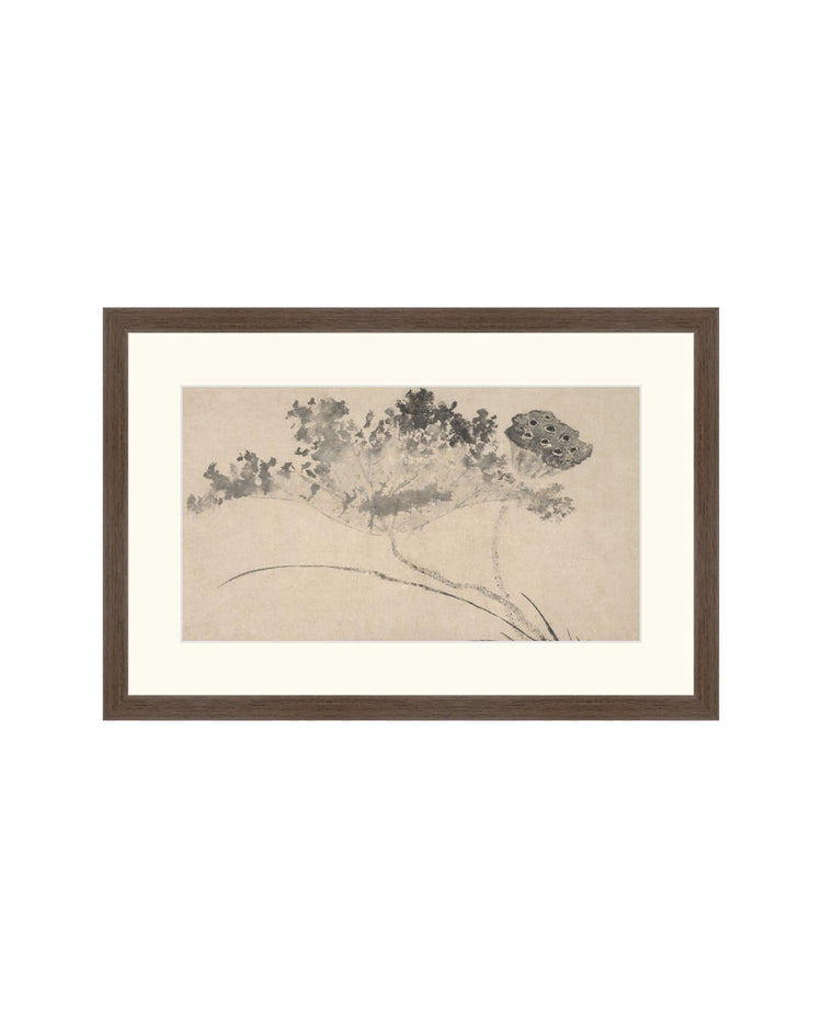 Shadowed Blooms 9