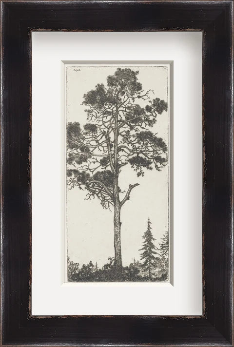 Trees Etching 1 - Custom Framed Print with Mat