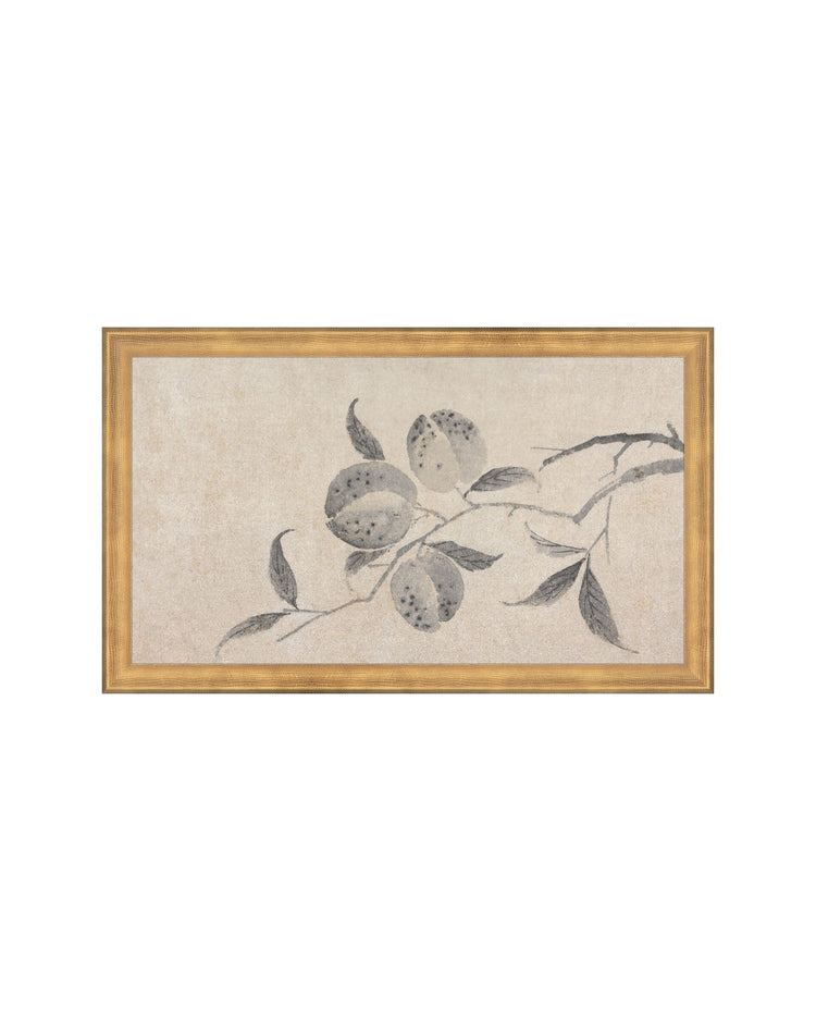Shadowed Blooms 8