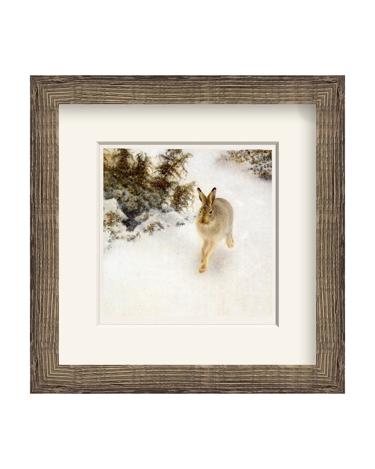 Framed - Driftwood Oak - Warm White Mat / 12.63 x 12.75 / Rag