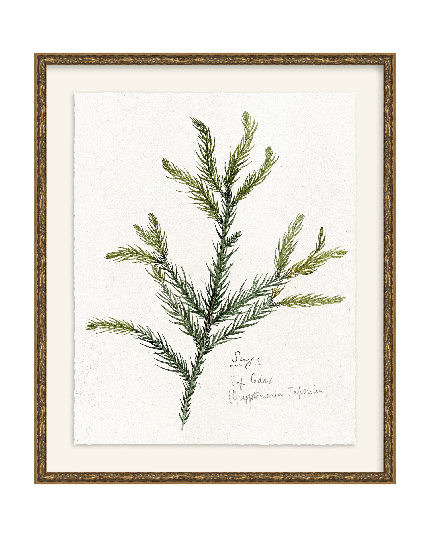 Framed - Laurel Gold - Torchon - Warm White Mat / 20.5 x 24.5