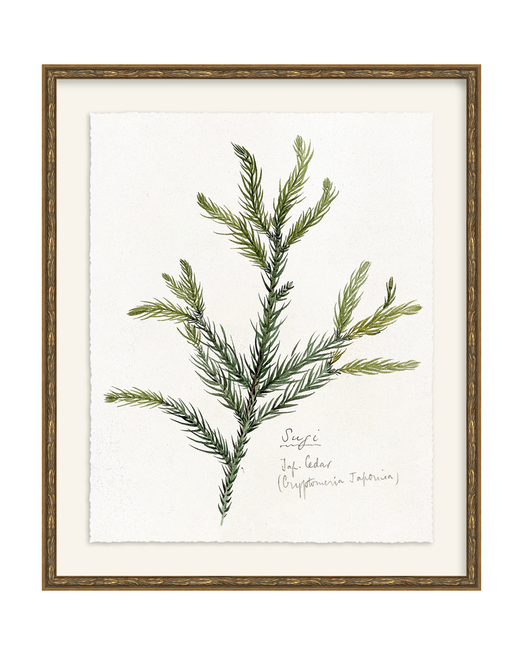Framed - Laurel Gold - Torchon - Warm White Mat / 20.5 x 24.5
