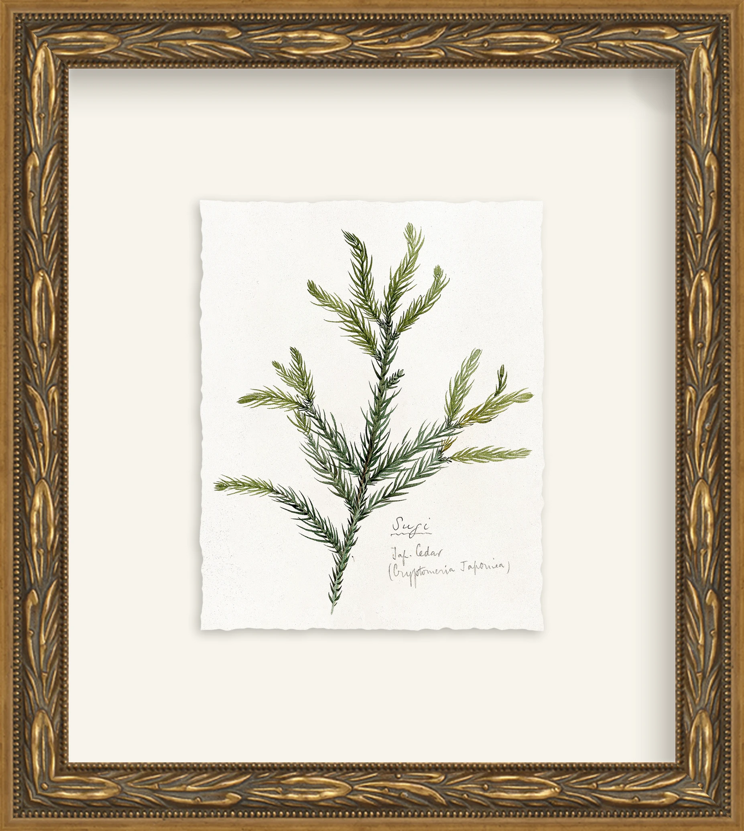Framed - Laurel Gold - Rag - Warm White Mat / 8.5 x 9.5