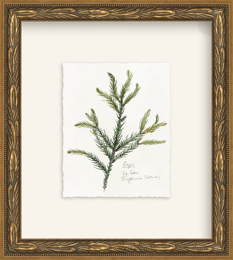 Framed - Laurel Gold - Rag - Warm White Mat / 8.5 x 9.5