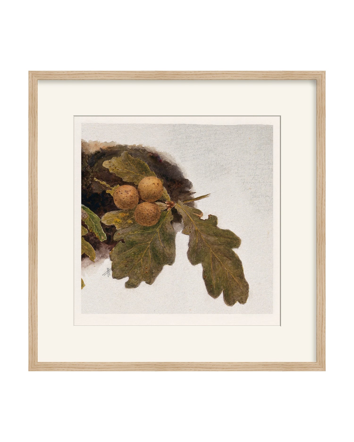 Framed - Matte Oak - Warm White Mat / 21.25 x 21.5 / Rag
