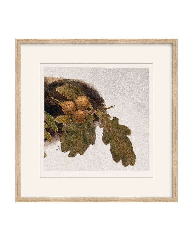 Framed - Matte Oak - Warm White Mat / 21.25 x 21.5 / Rag