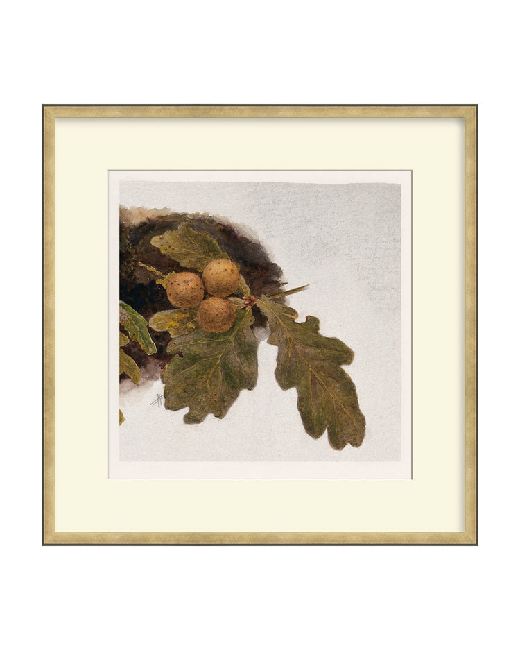 Framed - Atelier Brass - Off-White Mat / 21.25 x 21.5 / Rag