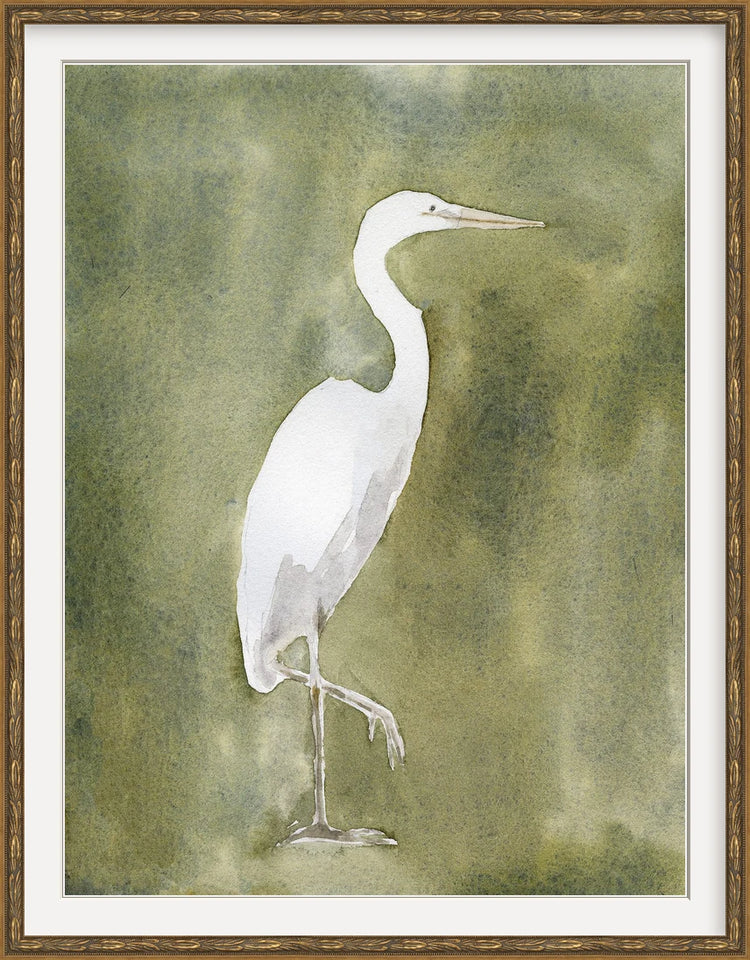 Great Egret - Custom Framed Print with Mat