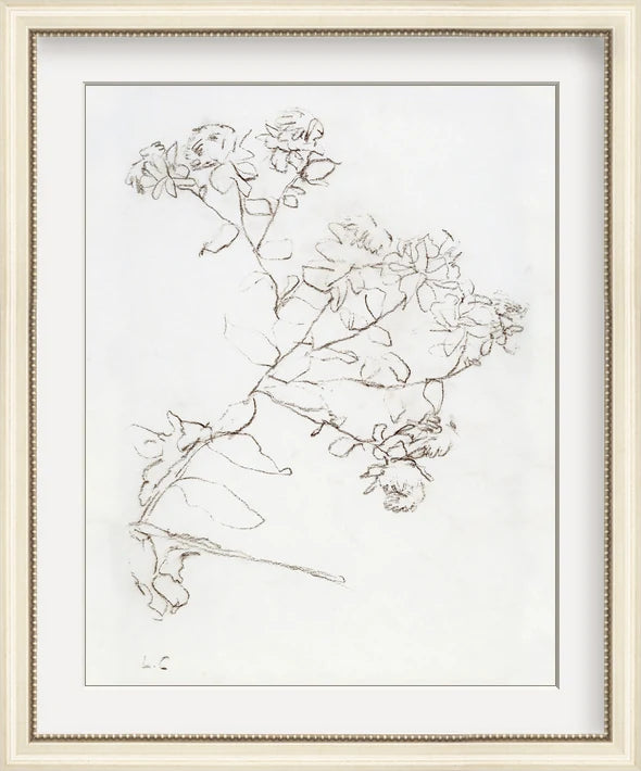 Botanical Study II - Custom Framed Print with Mat