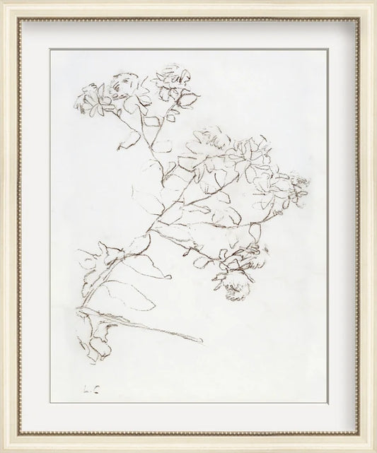 Botanical Study II - Custom Framed Print with Mat