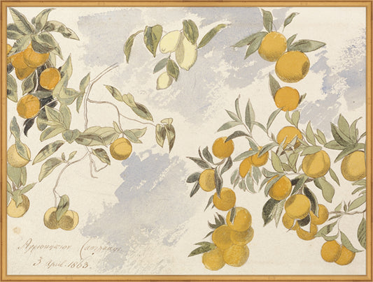 Framed Orangerie. Frame: Traditional Gold. Paper: Rag Paper. Art Size: 30x40. Final Size: 31'' X 41''