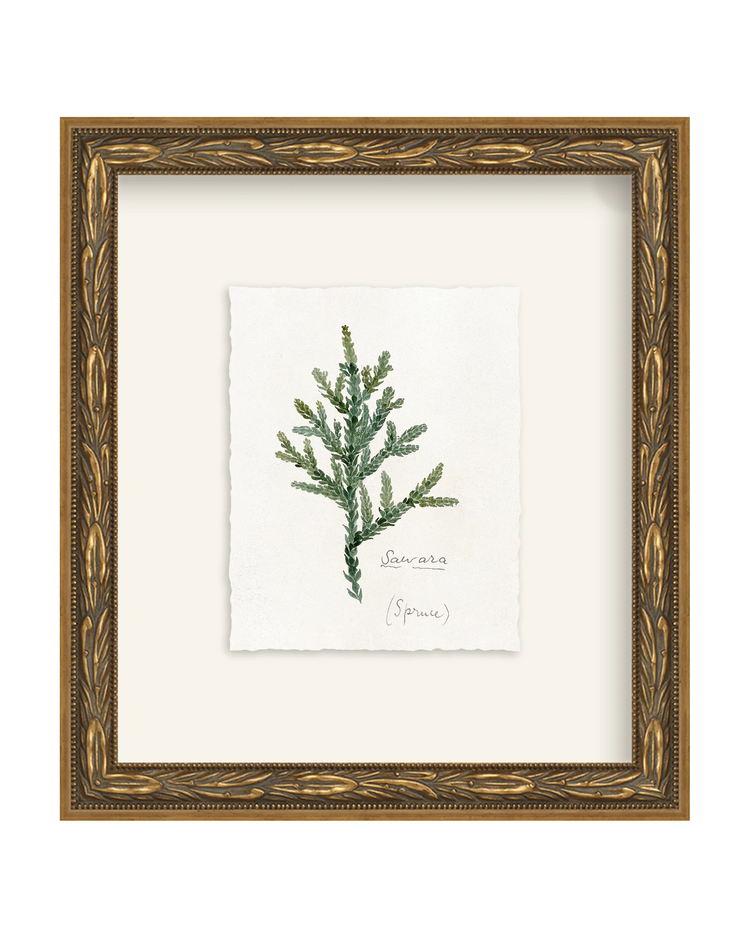 Framed - Laurel Gold - Torchon - Warm White Mat / 8.5 x 9.5
