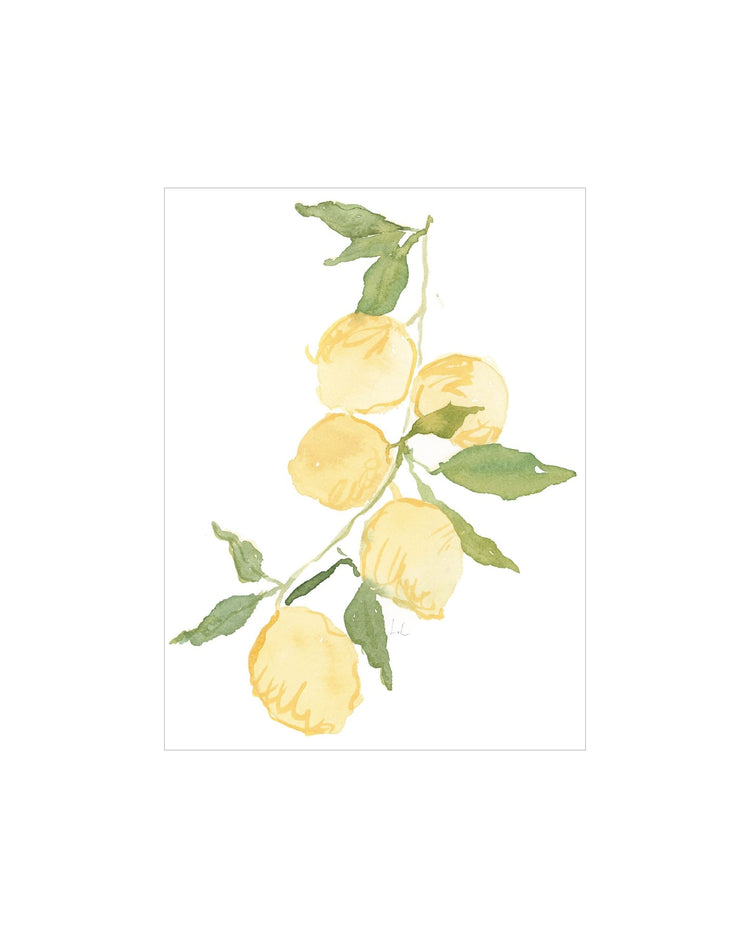 Lemon Branch
