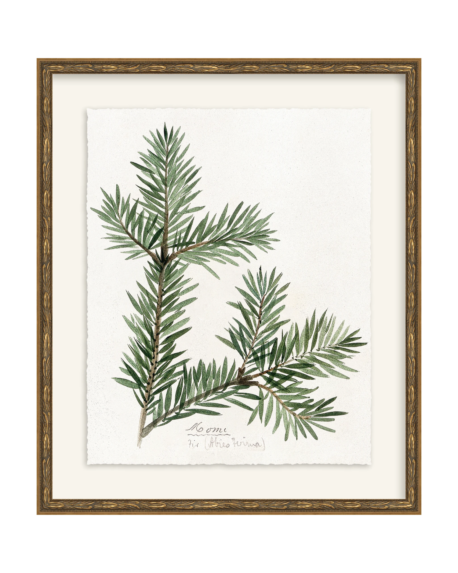Framed - Laurel Gold - Torchon - Warm White Mat / 17.3 x 20.5
