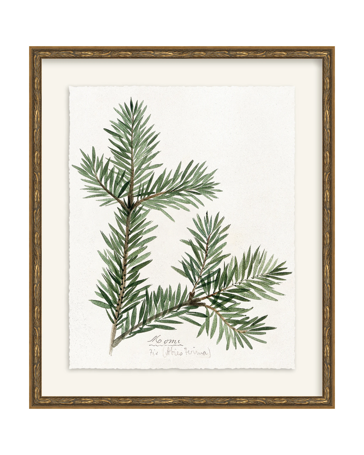 Framed - Laurel Gold - Torchon - Warm White Mat / 17.3 x 20.5