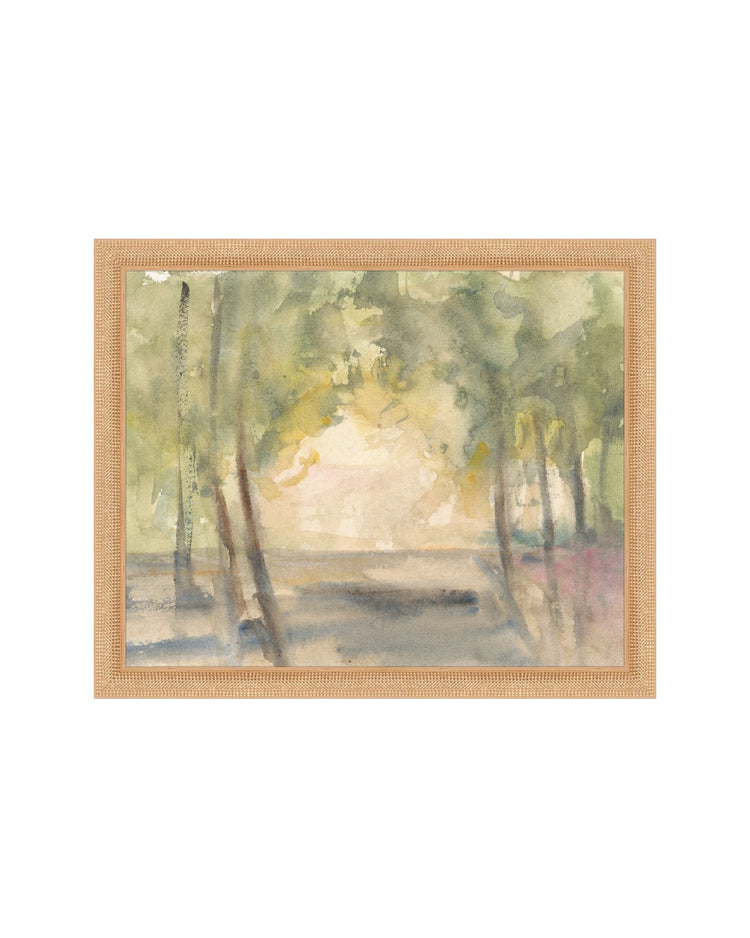 Light Through the Trees