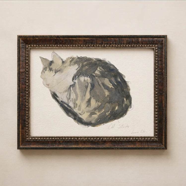 Sleeping Cat Study