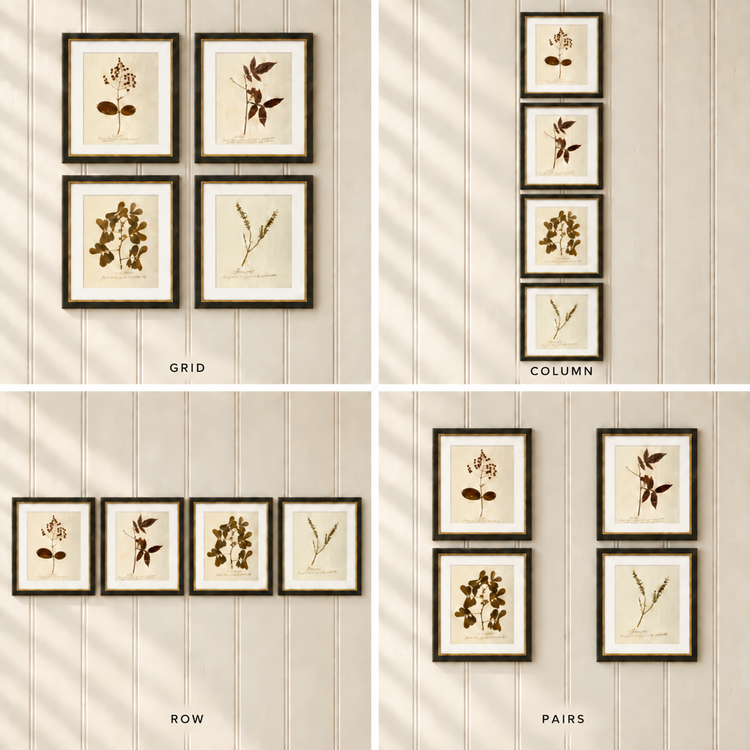 Herbarium I, V, VII & XII | Framed Botanical Art Set