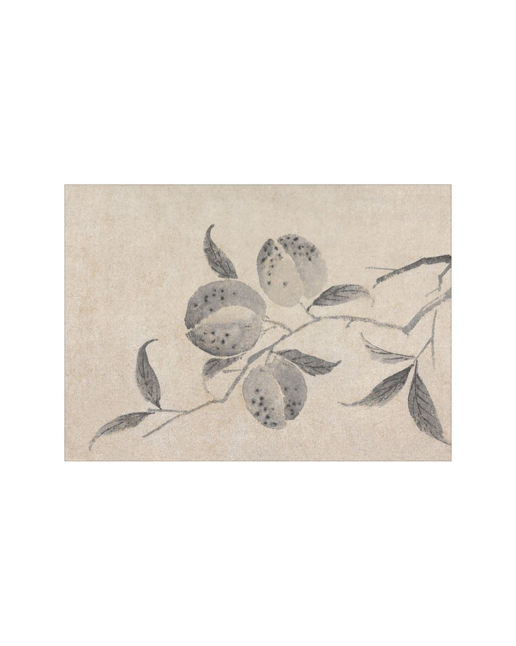 Shadowed Blooms 8