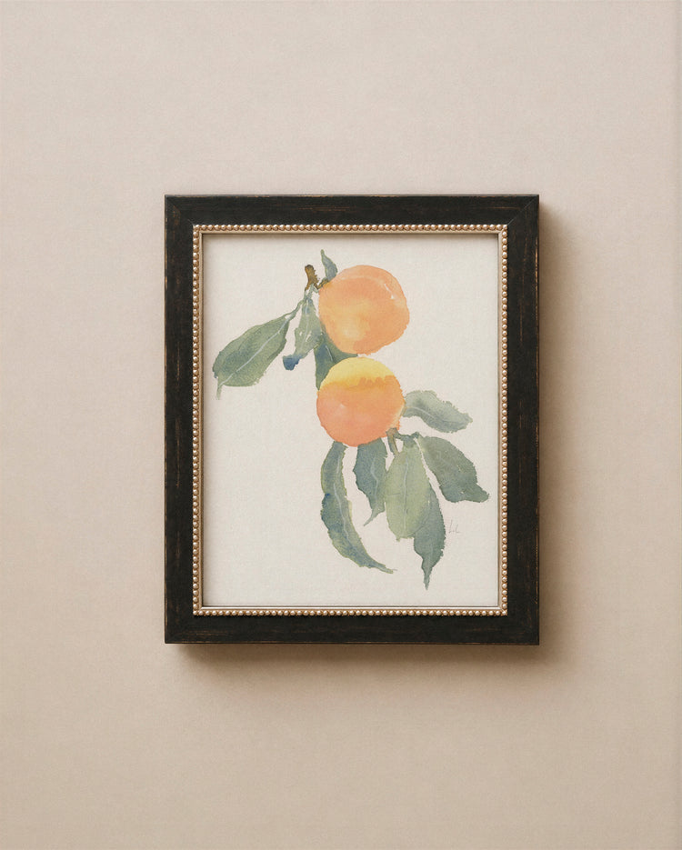 Orange Branch