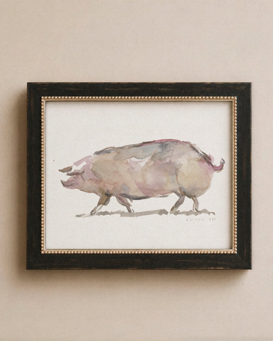Pig