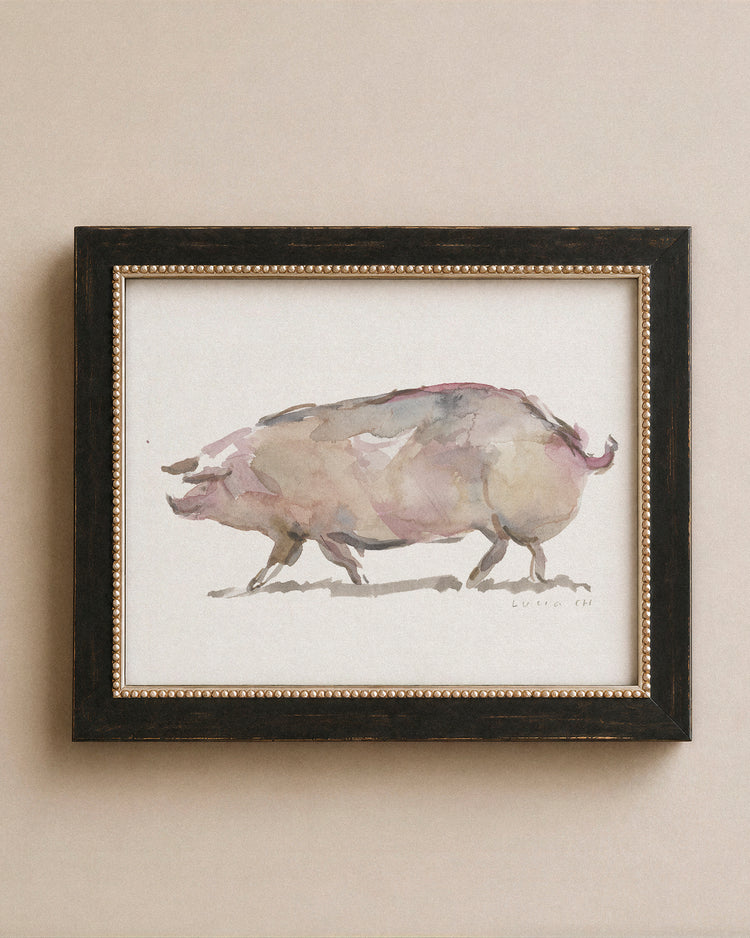 Pig