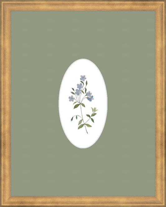 Blue Flower B&L