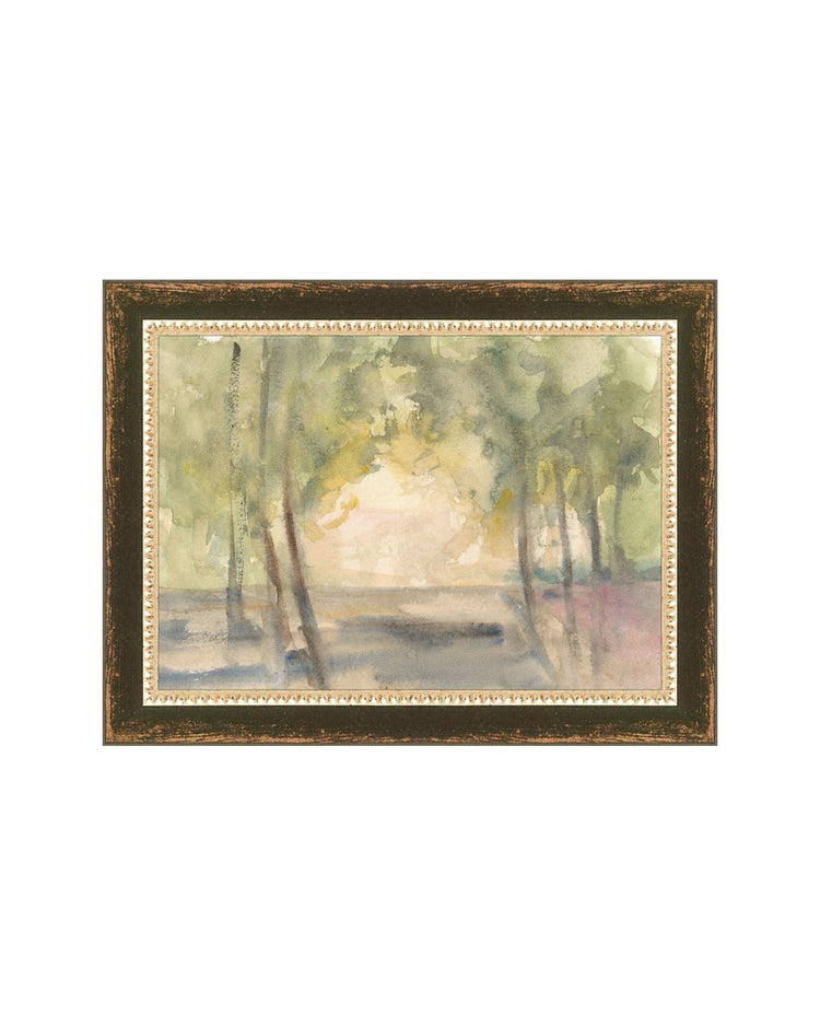 Light Through the Trees