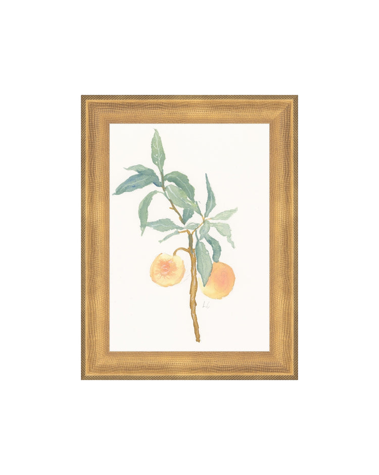 Peach Branch