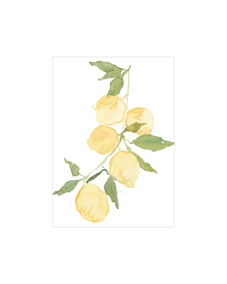 Lemon Branch